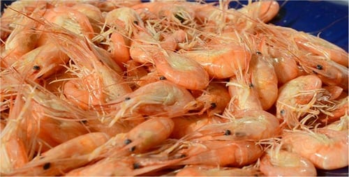 Pile of Cooked Prawns on a Plate