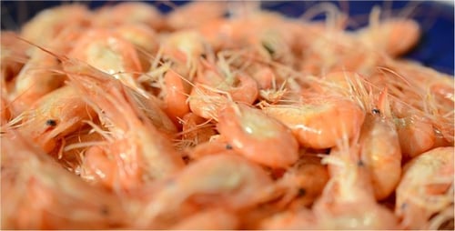 Pile of Boiled Pink Shrimp on a Plate