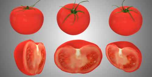 3D Realistic Red Tomato Rotation and Slice Animation
