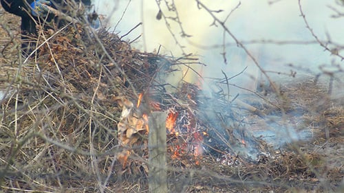 Hell brennendes Lagerfeuer mit viel Rauch