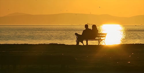 Couple Sitting on Beach Bench at Sunset