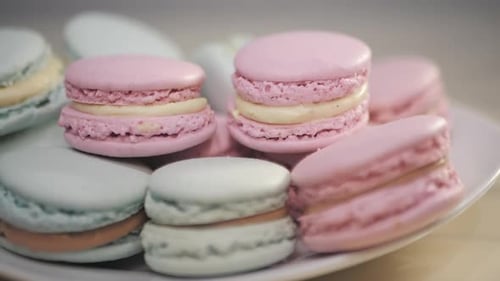 Pastel Macarons on a Plate