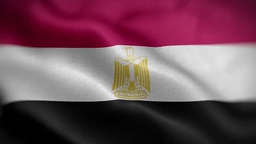 Waving Fabric Flag of Egypt Realistic Animation
