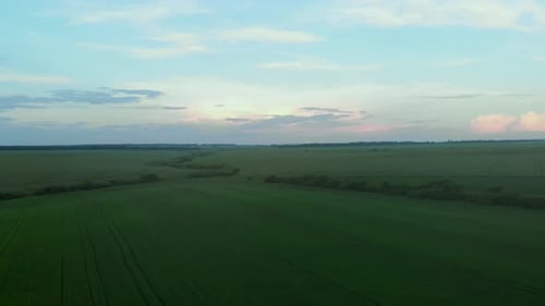 Green Field and Sunset