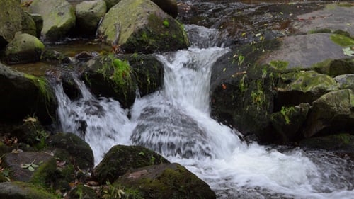 River