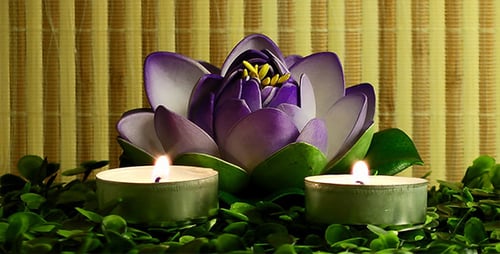 Purple Water Lily with Burning Candles and Bamboo