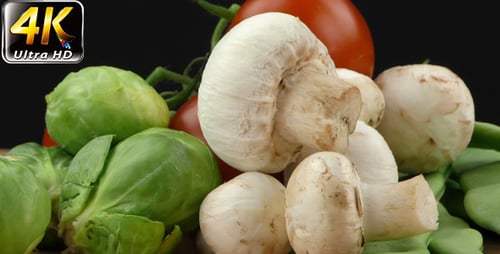 Vegetables All Together 4