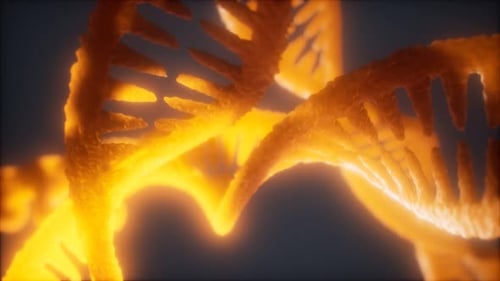 Loop Double Helical Structure of Dna Strand Close-up Animation