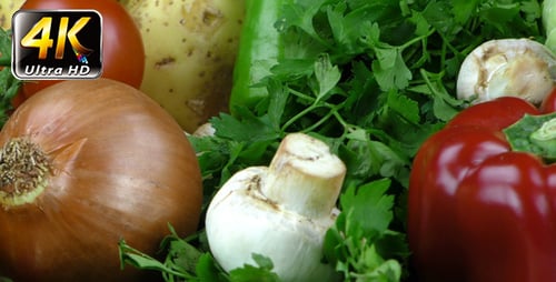 Variety of Fresh Vegetables Close Up View