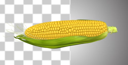 Corn