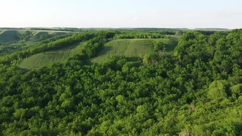 aerial view of the green forest in a hilly area. flying drone over the tree crowns