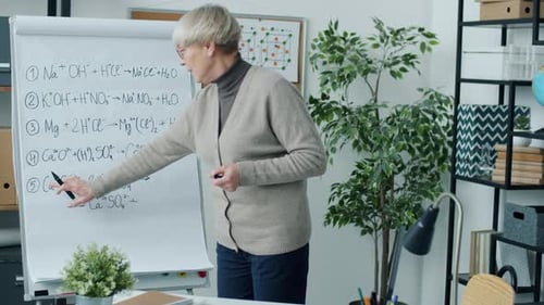 Confident Woman College Teacher Working with Student Online Writing on Board and Talking Looking at