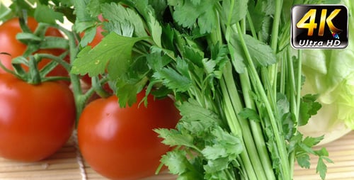 Fresh Tomatoes, Parsley, and Lettuce Rotating
