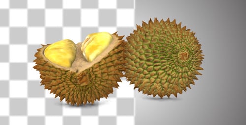 Durian