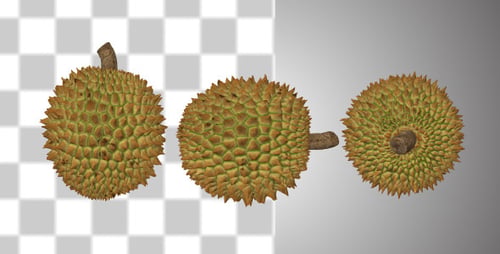 Fruit de Durian