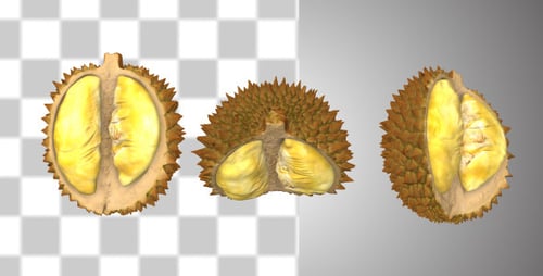 Geschälter Durian
