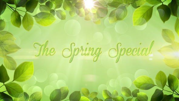 The Spring Special - Promo Pack - Apple Motion, Openers ft. spring ...