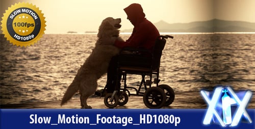 Silhouetted Person in Wheelchair with Dog at Sunset