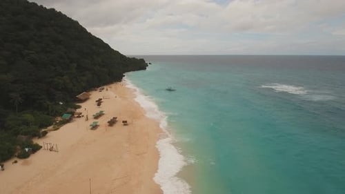 Tropical Sand Beach with Palm Trees