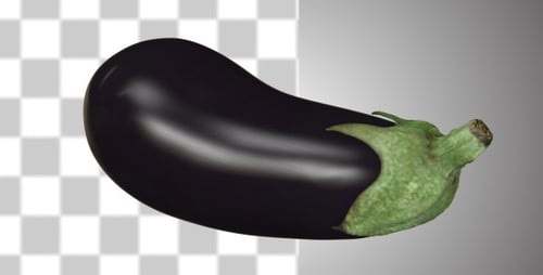 Animated 3D Eggplant Rotating with Alpha Channel