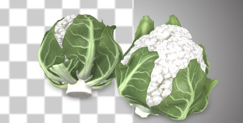 Animated 3D Cauliflower Rotating with Alpha Channel