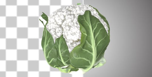 Rotating Realistic 3D Cauliflower with Alpha Channel