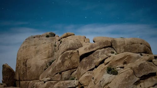 Joshua Tree Desert Landscape At Night