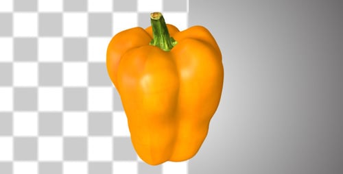 3D Yellow Bell Pepper Rotating Loop with Alpha Channel