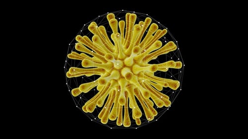 Microscopic View Of A Virus Cell V2