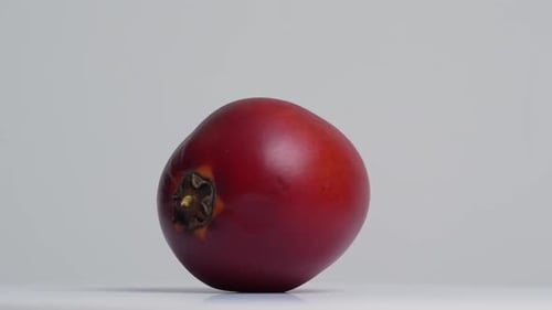 Tamarillo 23