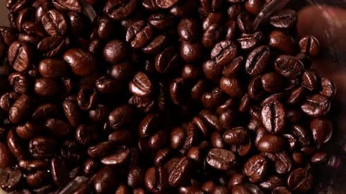 Top view of coffee beans was grinded with an electric grinder.