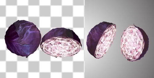 Rotating Red Cabbage with Cross-Section and Alpha Channel