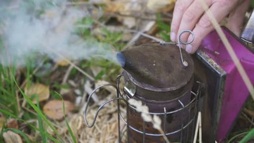 Beekeeper Smoker Smokes White Smoke. Beekeeping Tool Close Up.