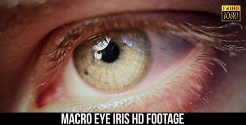 Eye Iris