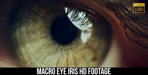 Extreme Close-up of a Human Eye