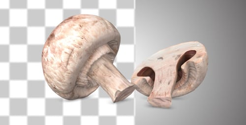 Champignon