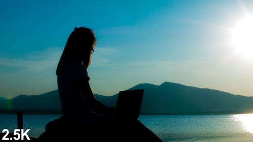 Silhouette Woman Working with Laptop by Tropical Lake