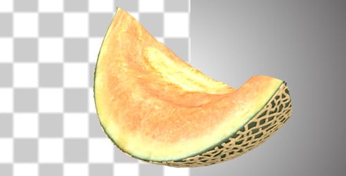 Cantaloupe Melon Slice