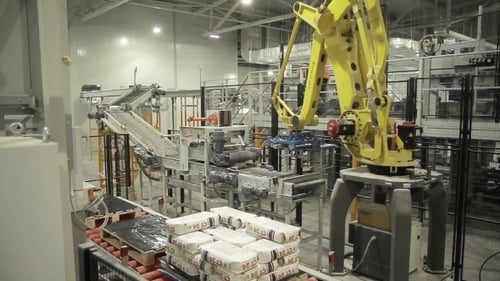 Robotergelenkarm an der Verpackungslinie