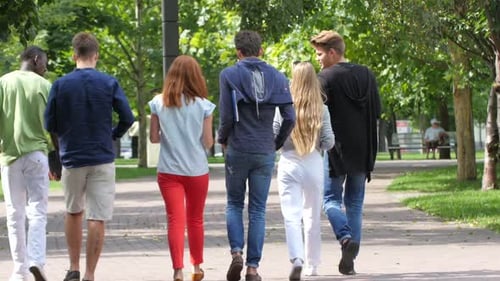 Group of Students on Footpath Outdoor. Back View