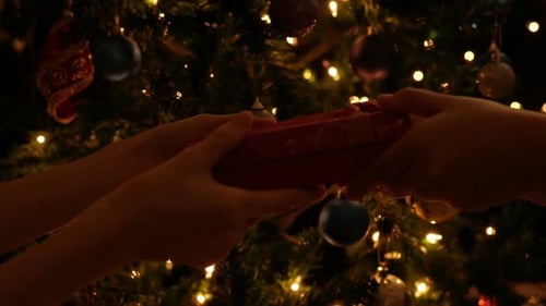 Christmas Gift Exchange in Front of a Festive Tree