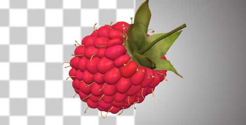 Raspberry