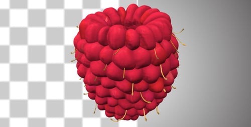 Raspberry V.2