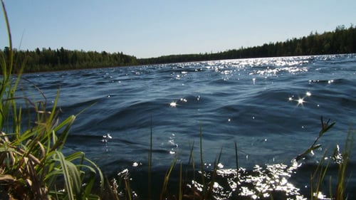 Waves on a blue lake