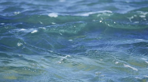 Ondulação suave do oceano