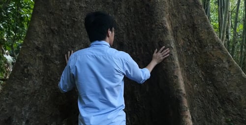 Man Touching Massive Ancient Tree in Forest