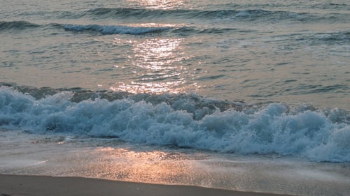 Sea