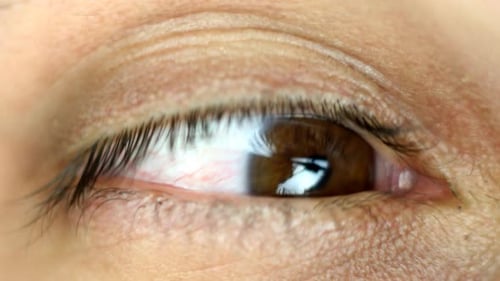 Nahaufnahme von Eye Looking Around 1