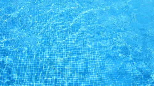 A Luxury Private Swimming Pool Surrounded By A Paradise Garden 2