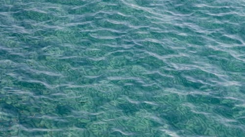 Sparkling Sea